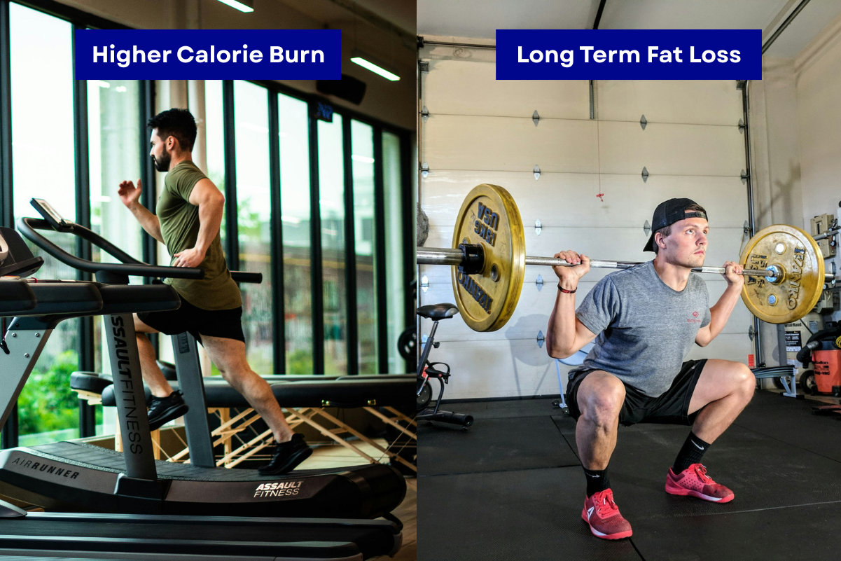 You are currently viewing Cardio vs Weight Lifting [2025] – Which Burns More Fat in the Long Run?