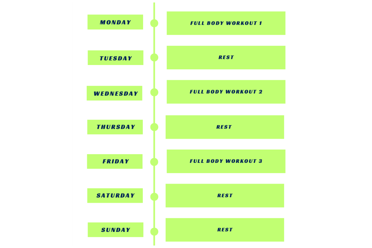 How to Design the Perfect Workout Routine for Your Goals 2025